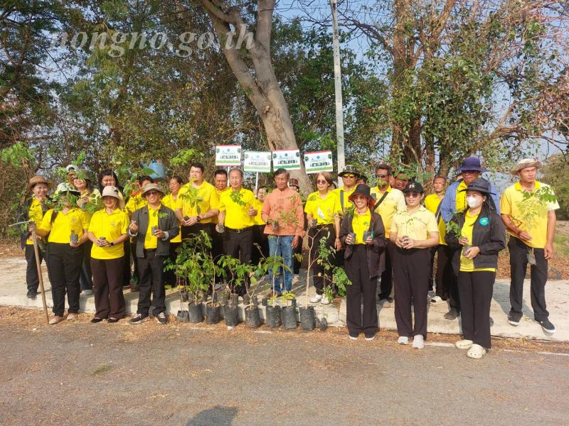 กิจกรรมปลูกต้นไม้ลด PM 2.5 โดยปลูกต้นไม้บริเวณรอบบึงหนองโน